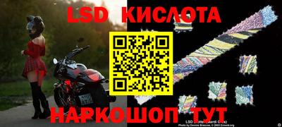 PSILOCYBIN Рыбинск