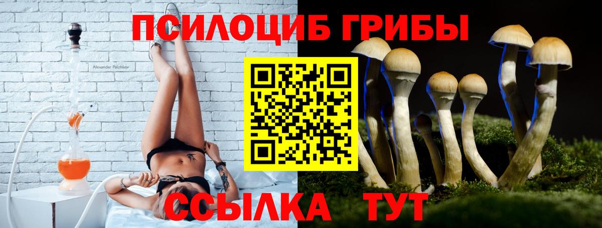 Псилоцибиновые грибы мицелий Алатырь