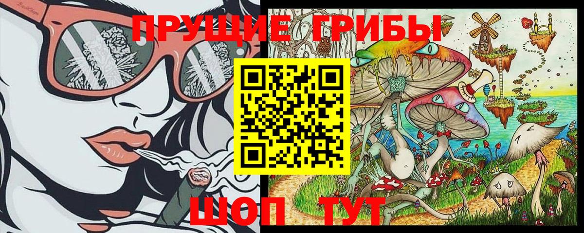 Псилоцибиновые грибы MAGIC MUSHROOMS  купить наркотик  Алатырь  Вход с VPN 